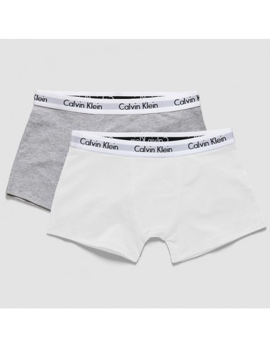 Adelaide breken kalf Calvin Klein Modern Cotton Grijs-Wit 2Pack Boxershorts Jongens Ondergoed