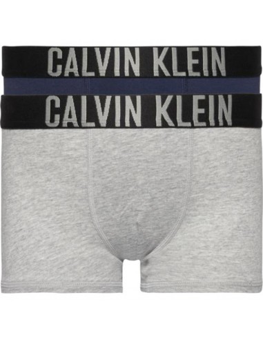 Milieuactivist Jumping jack bewijs Calvin Klein Intense Power Donkerblauw-Grijs 2Pack Boxershorts Jongens  Ondergoed